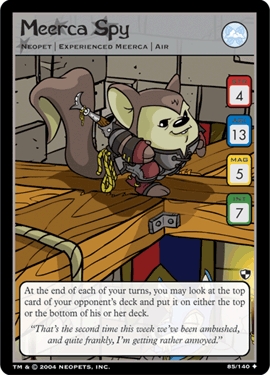 Meerca Spy
